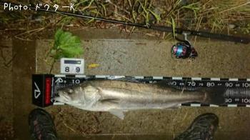 �����Х�