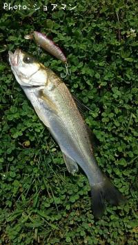 �����Х�