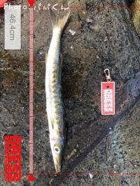 ¥¿¥¤¥ï¥ó¥«¥Þ¥¹