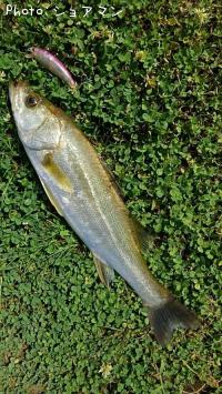 �����Х�