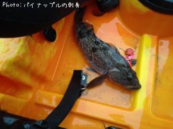 �����ʥ�