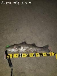 �����Х�