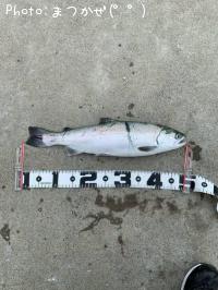 ������ޥ�