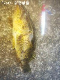 �٥å�������