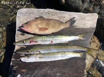 ������󥫥ޥ�