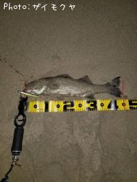 �����Х�