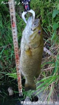 �֥�å��Х�