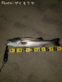 �����Х�