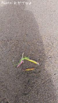 ���������碌