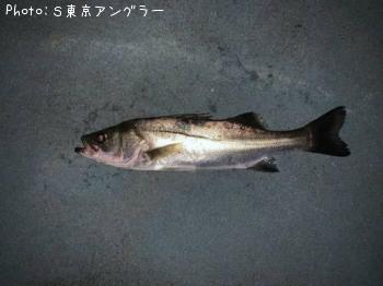 �����Х�