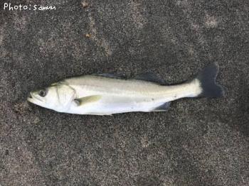 �����Х�