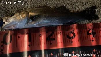 �����Х�