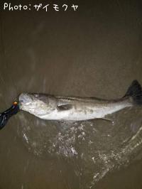 �����Х�