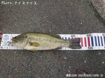 �֥�å��Х�