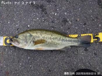 �֥�å��Х�