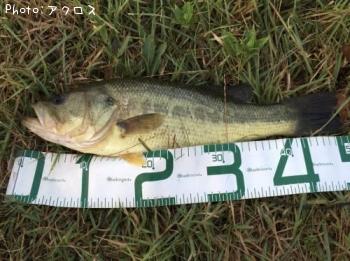 �顼���ޥ����Х�