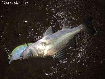 �����Х�