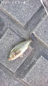 �顼���ޥ���