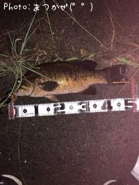 ¥Ö¥é¥Ã¥¯¥Ð¥¹