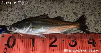 �����Х�