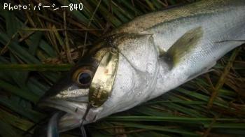 �����Х�