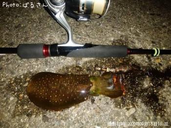 �����ꥤ��