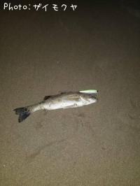 �����Х�