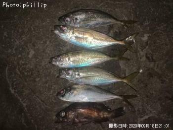 ¥¢¥¸¡¢¥á¥Ð¥ë