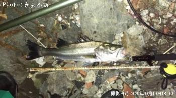 �����Х�