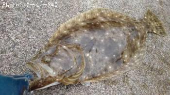 �ҥ��ʥ�����