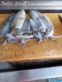 �����ꥤ��