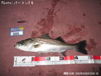 �����Х�