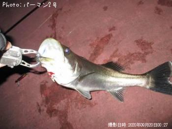 �����Х�