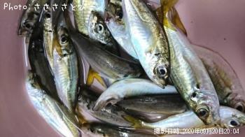 ¥¢¥¸¡õ¥á¥Ð¥ë¡¡