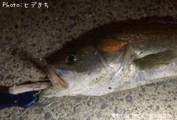 �����Х�