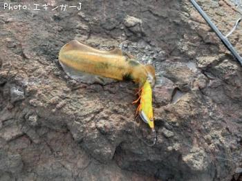 �����ꥤ��