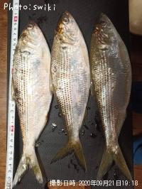 ���Υ���