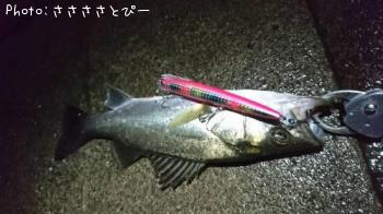 �����Х�