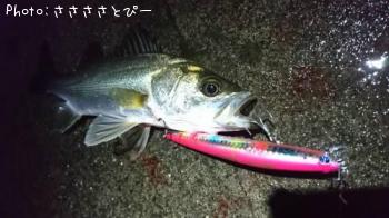 �����Х�