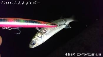 �����Х�