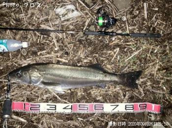 �����Х�