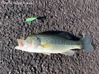 �֥�å��Х�