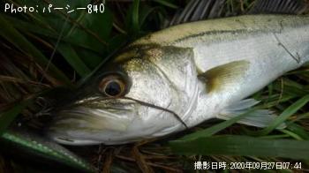 �����Х�