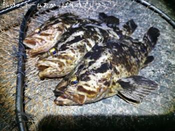 �����Υ���Х�