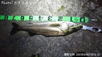 �����Х�