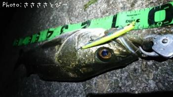 �����Х�