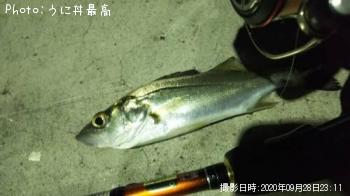 �����Х�