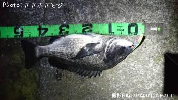 ���������������Х�