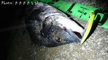 ���������������Х�