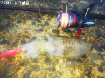 �����ꥤ��